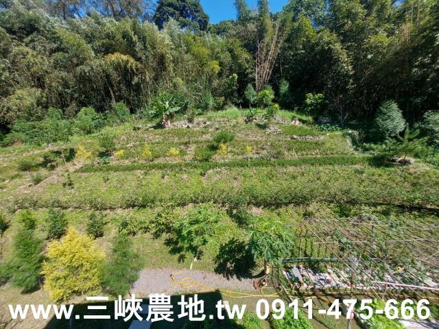 新北農地-4