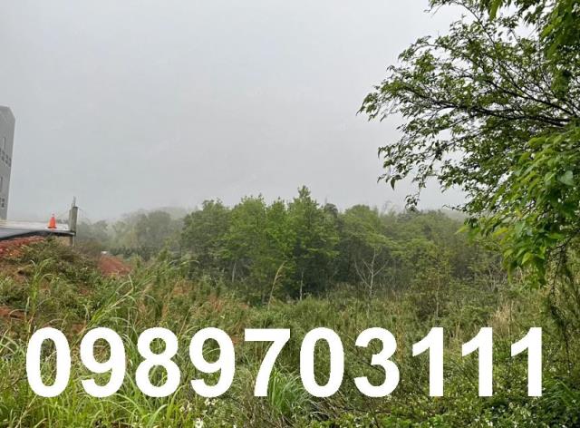 桃園龍潭農地-1