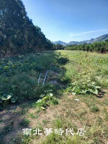 台南農地-3
