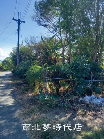 台南農地-7