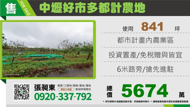 桃園紅線國際段持分農地田