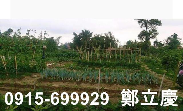 桃園平鎮農地-1