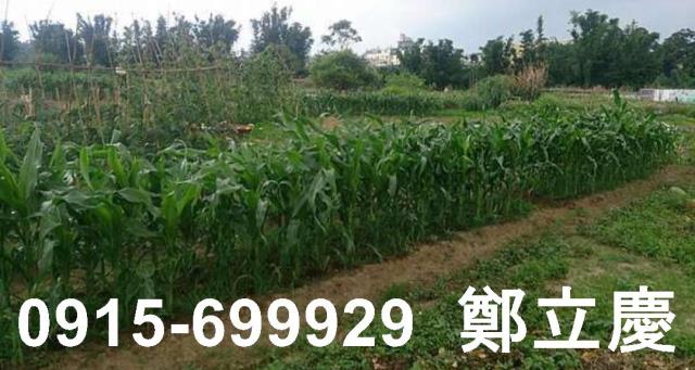 桃園平鎮農地-2