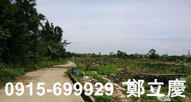 桃園平鎮農地-3