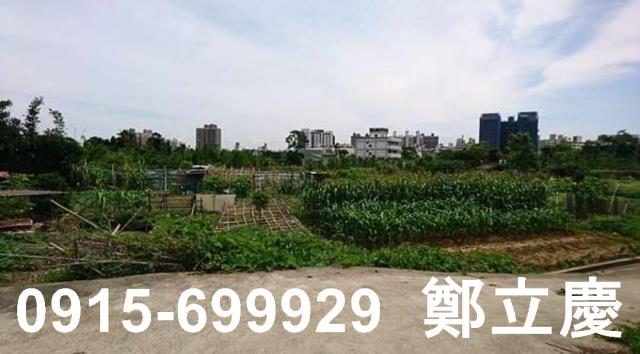 桃園平鎮農地-4