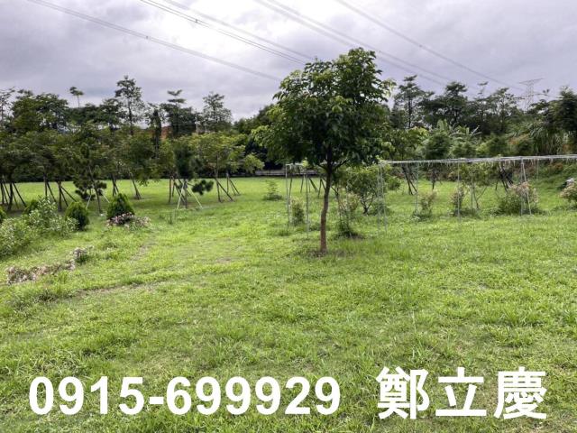 桃園龍潭農地-10