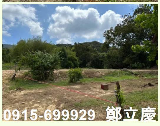 桃園龍潭農地-6