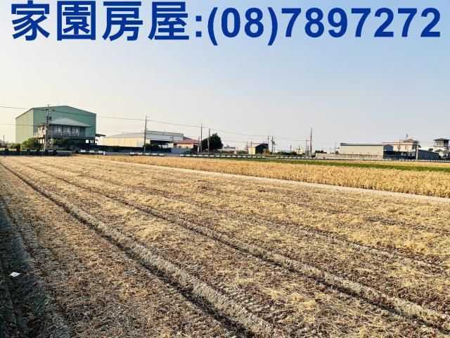 屏東萬丹農地-4