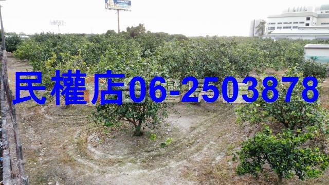 台南農地-9