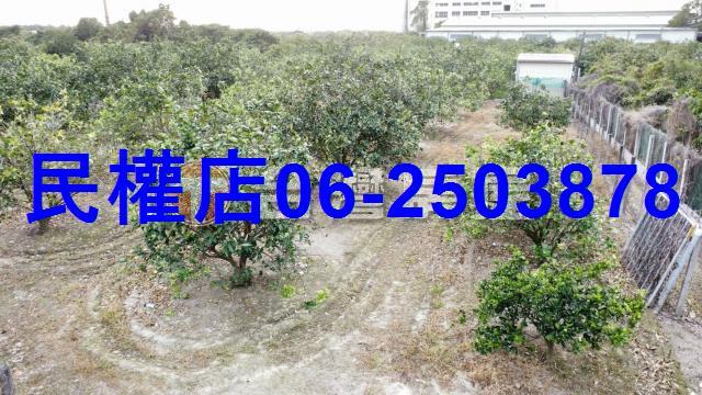 台南農地-14