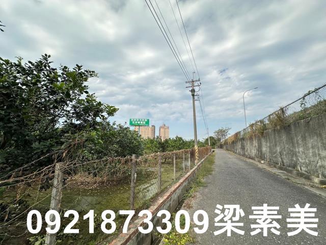 台南麻豆農地-5