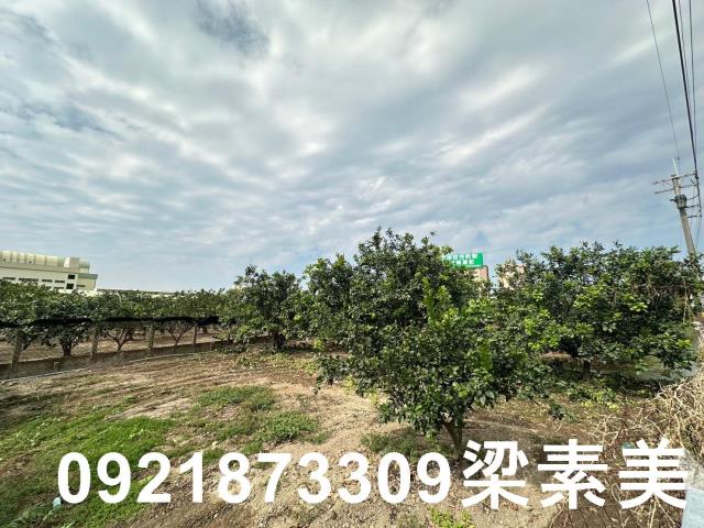 台南麻豆農地-6