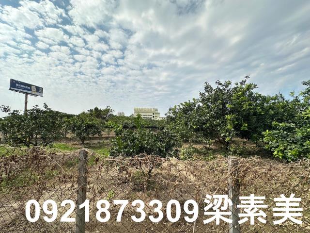 台南麻豆農地-8