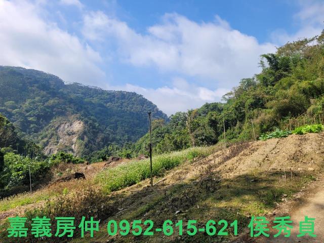 番路農地-3