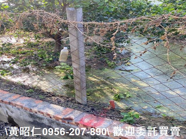 台南農地-4