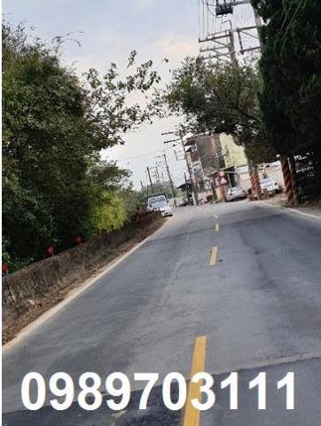 龍潭高楊南路農地