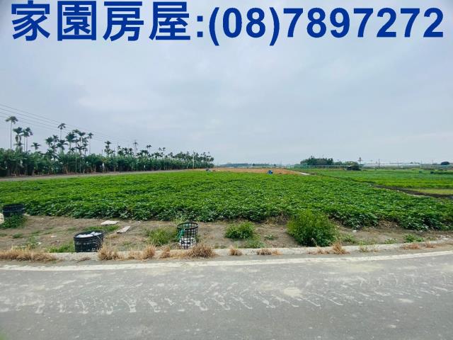 屏東新園農地-1