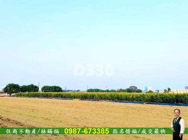 台南善化農地-0