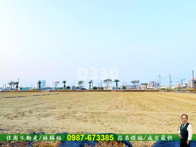 台南善化農地-2