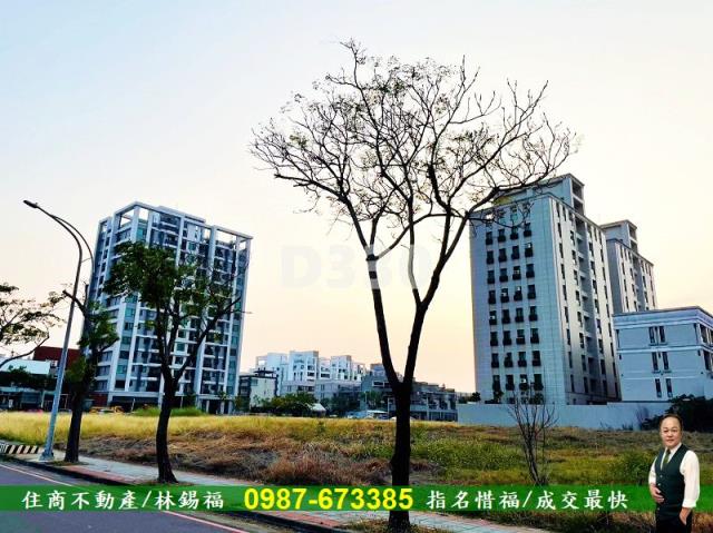 台南善化農地-3