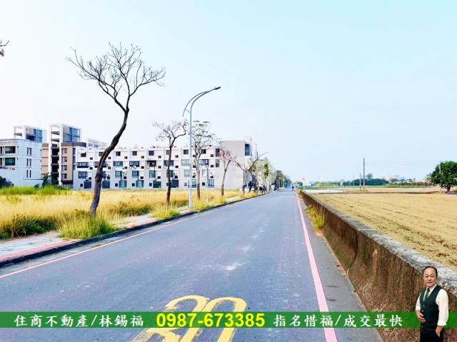 台南善化農地-4