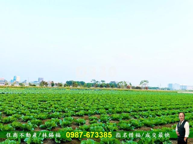 台南善化農地-6