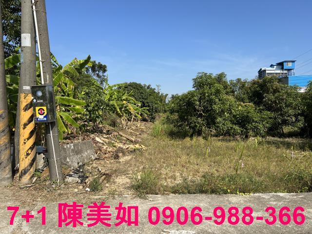 高雄大社農地-0