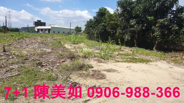 高雄大社農地-0