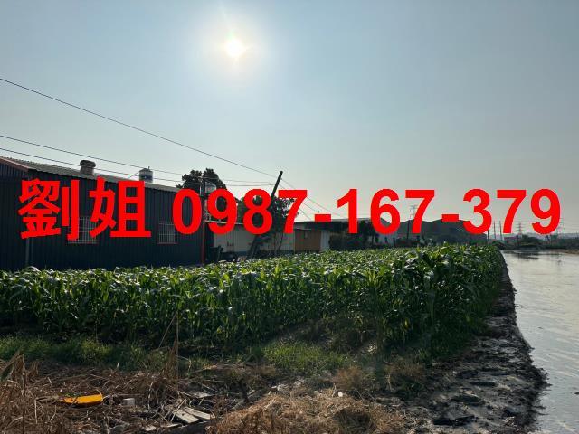 高雄大寮農地-0