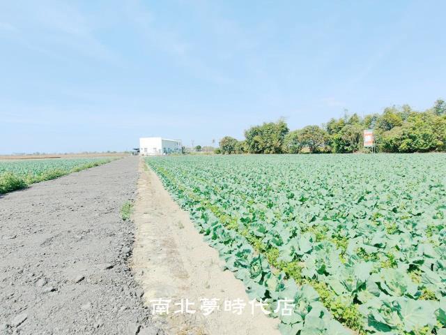 台南仁德農地-2