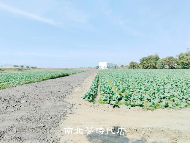 台南仁德農地-3