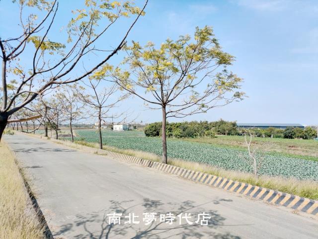 台南仁德農地-5