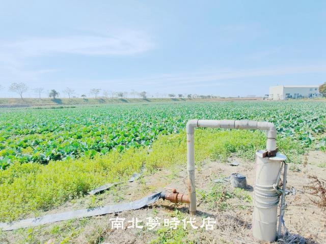 台南仁德農地-6