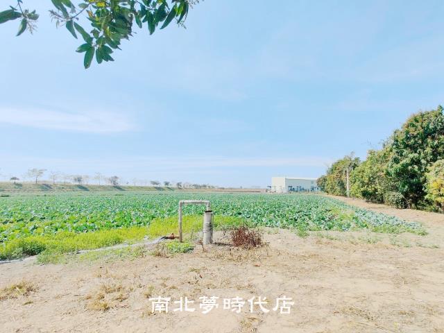 台南仁德農地-7