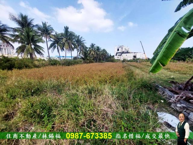 台南永康農地-9