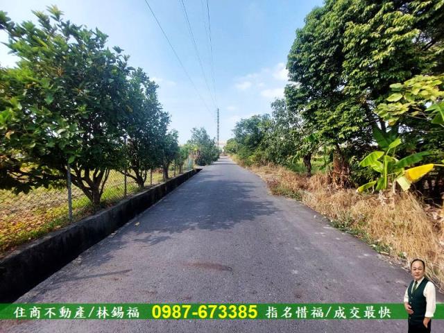 台南永康農地-6