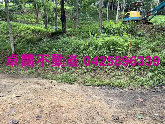 苗栗大湖農地-2