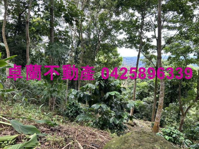 苗栗大湖農地-3