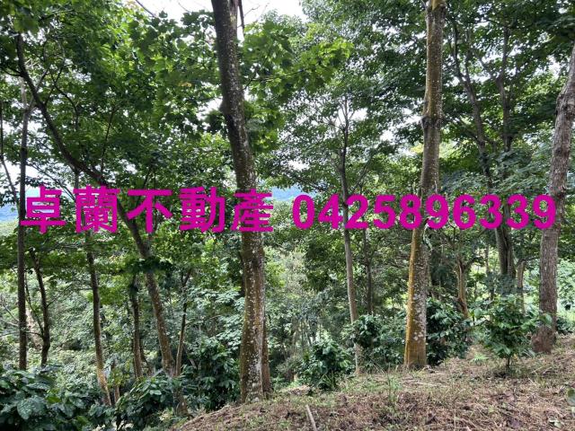 苗栗大湖農地-5