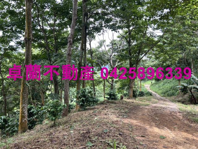 苗栗大湖農地-6