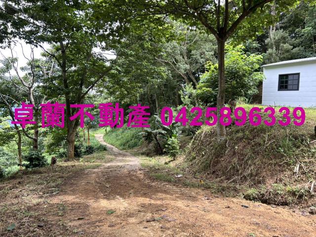 苗栗大湖農地-7