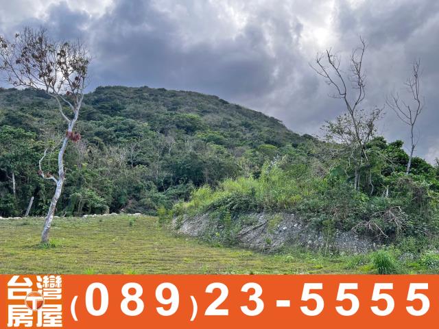 鑽石台東房地產買賣