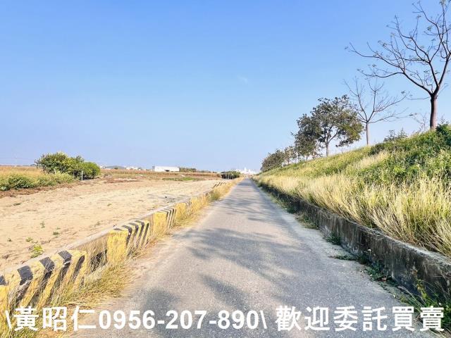台南仁德農地-6