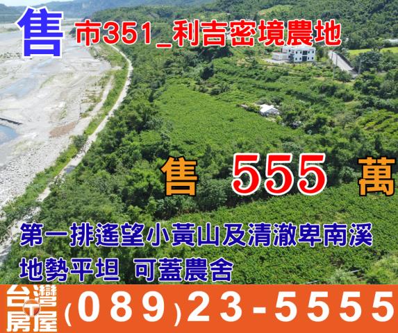 台東農地台東房地產台東土地買賣台東房仲台東仲介海岸線農地