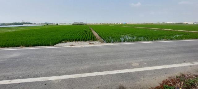 嘉義農地-0