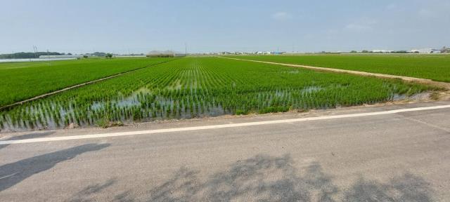 嘉義農地-5