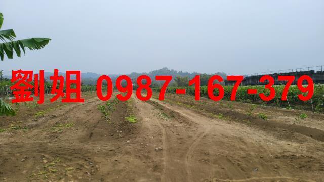 高雄燕巢農地-0