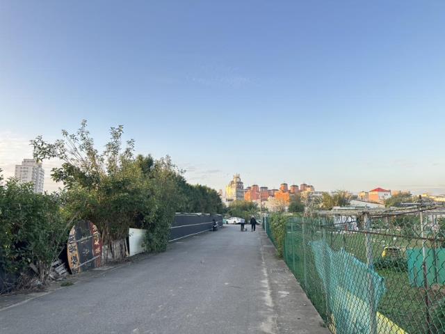 桃園中壢山東國小農地青埔農地月桃路農保資材室節稅投資自用