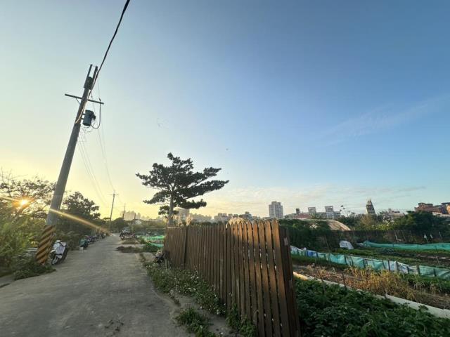 中壢農地-3