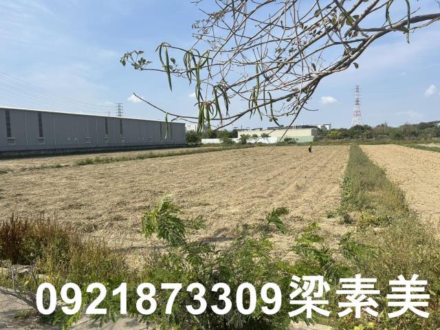 台南新化農地-2